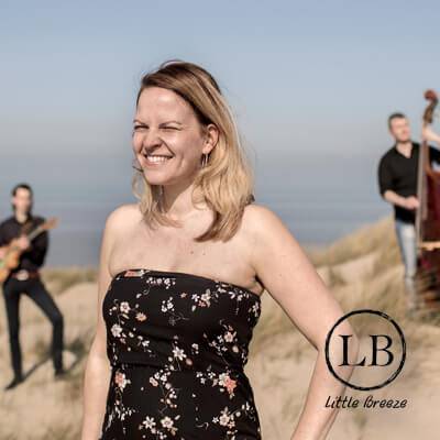Semi Akoestisch trio boeken of inhuren